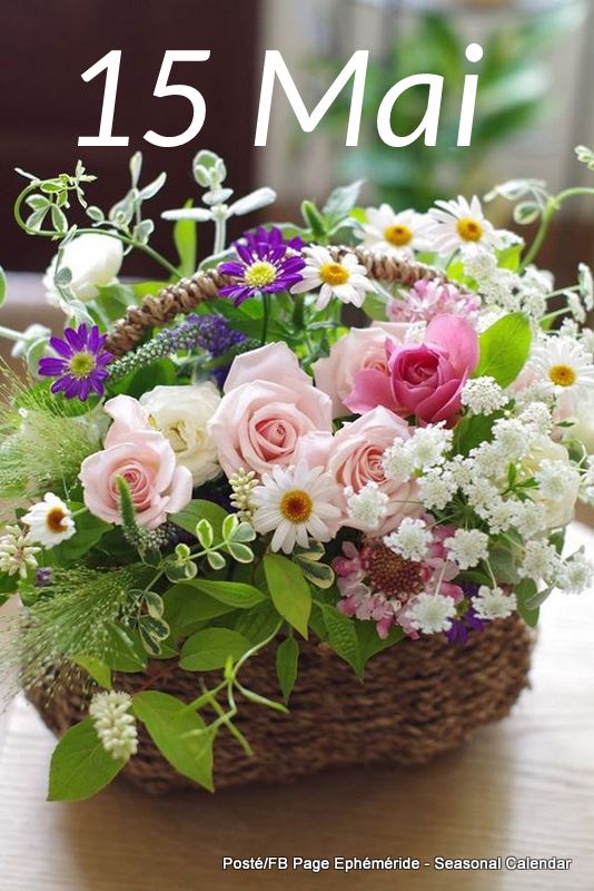 186870585_4232453410138056_4502389344838542632_n