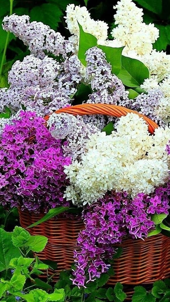 187154947_989785185094371_3195262610042806561_n (1)