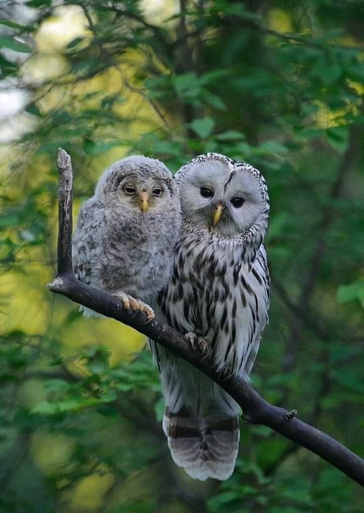 187284945_1228855920902045_5643961032968039558_n