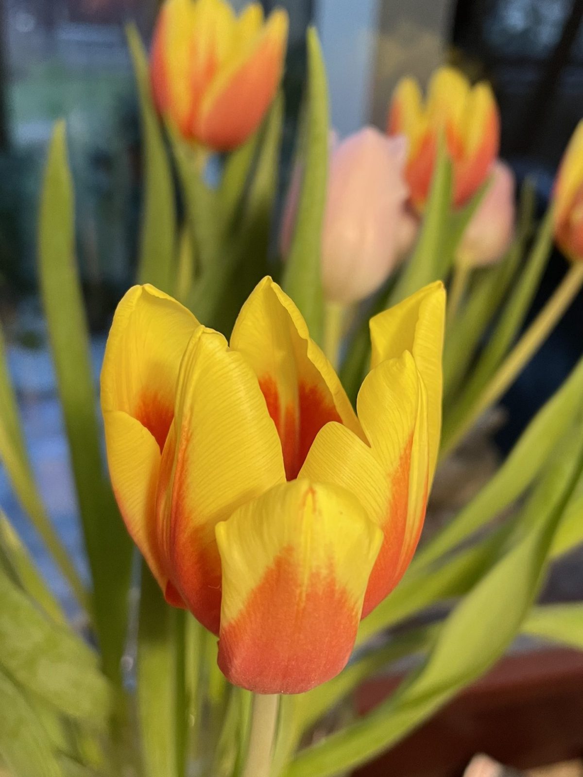 188BDC49-6F3E-4A87-B8EE-FC507B6ECC7C