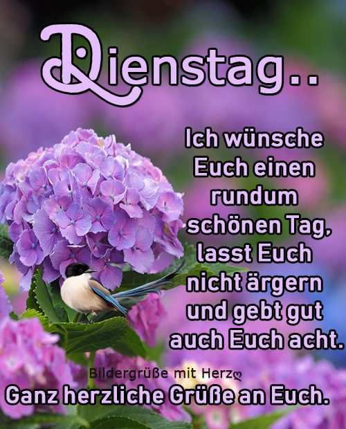 189698231_918644118706058_4636993103555967235_n (1)