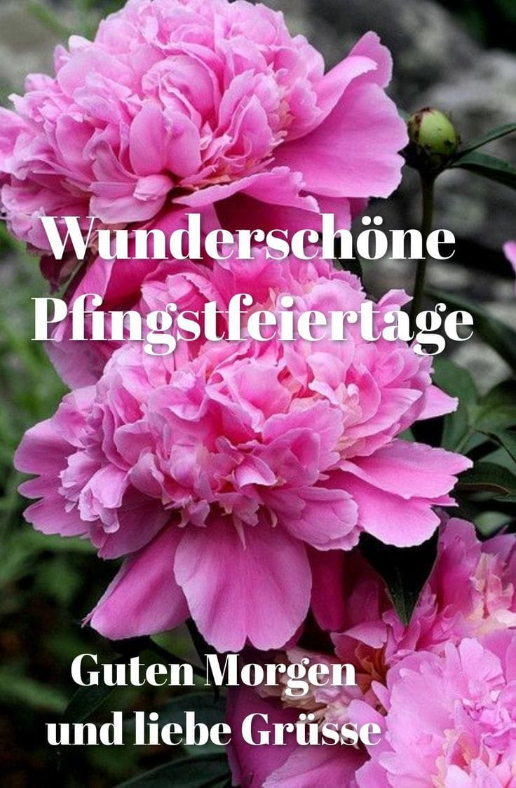 189988889_323075282765652_8159618989446802766_n (1)