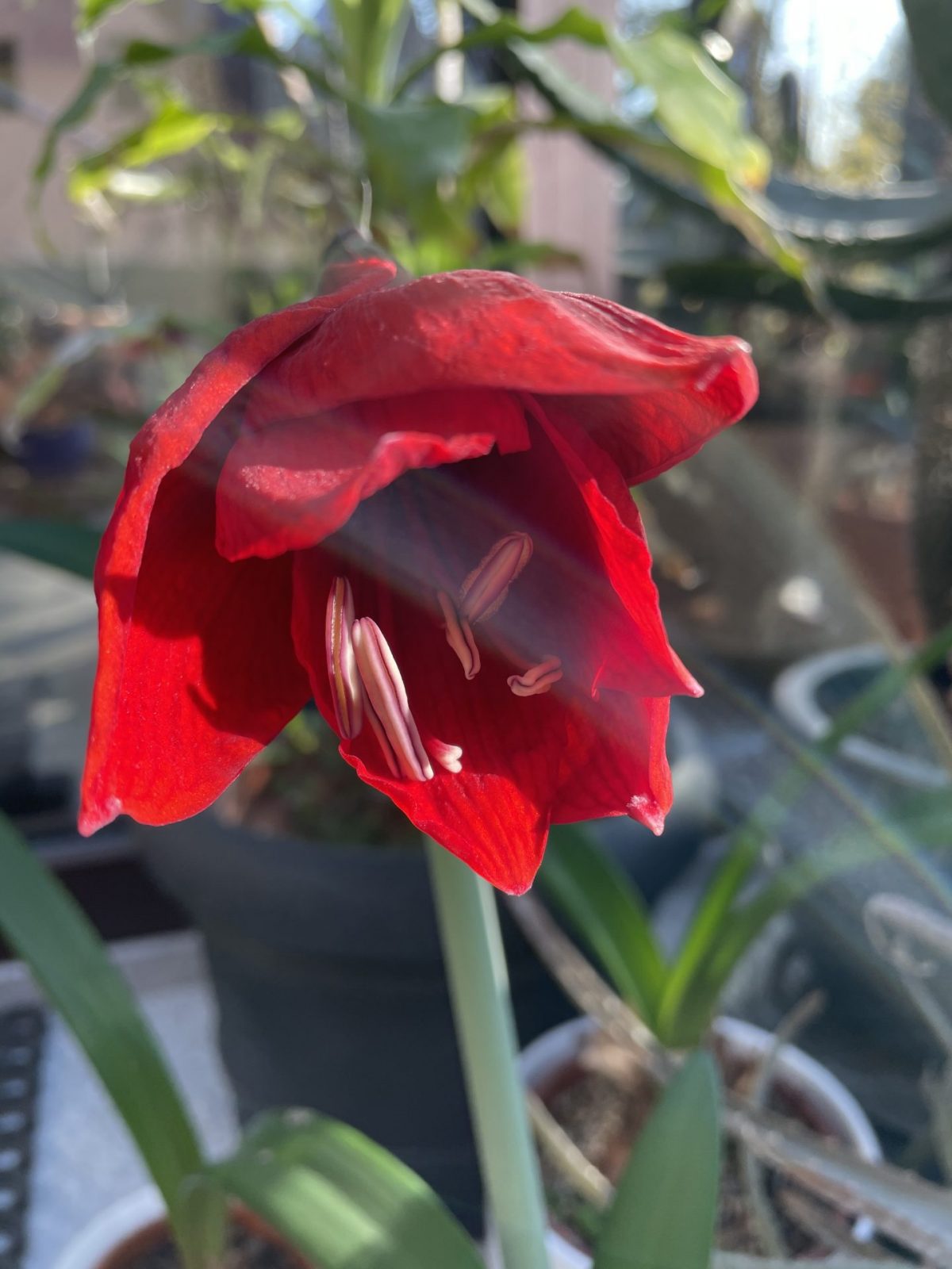 18DF2E1A-4AD2-4336-9C3F-CB0F3FF4B7DC