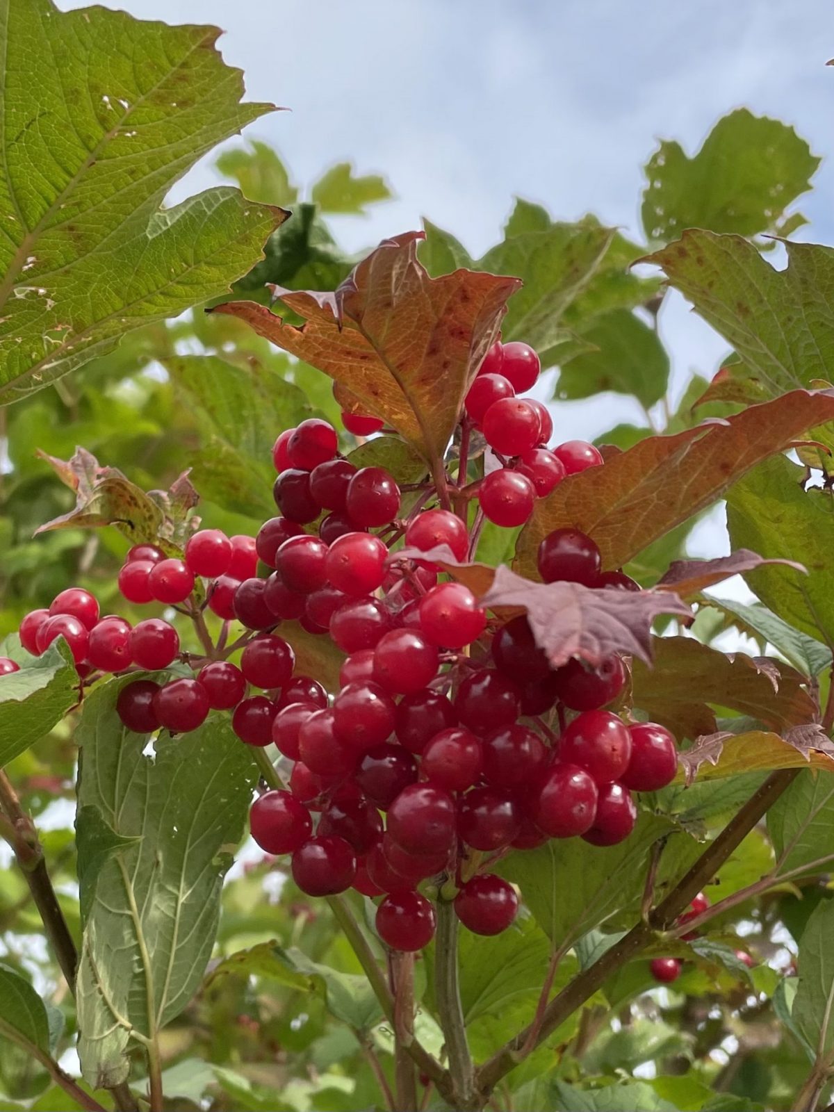 18F6BD99-AFB1-469C-812F-F592D5914381