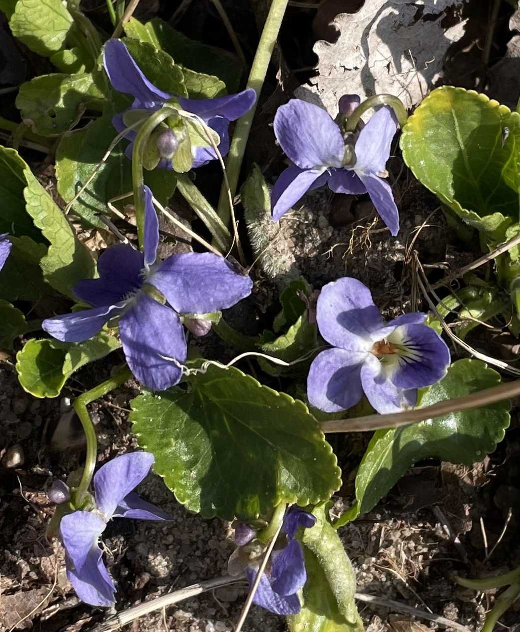 19099728-AB18-414A-A90E-26C266DCF51F