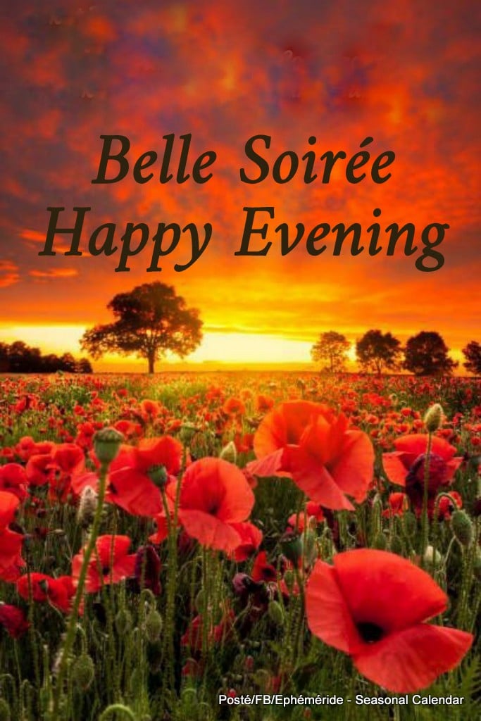 191169658_4263152170401513_1178877187485223512_n