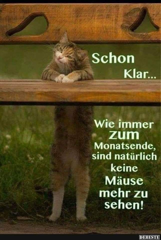 191184047_1233479420439695_7761501226021187223_n (2)