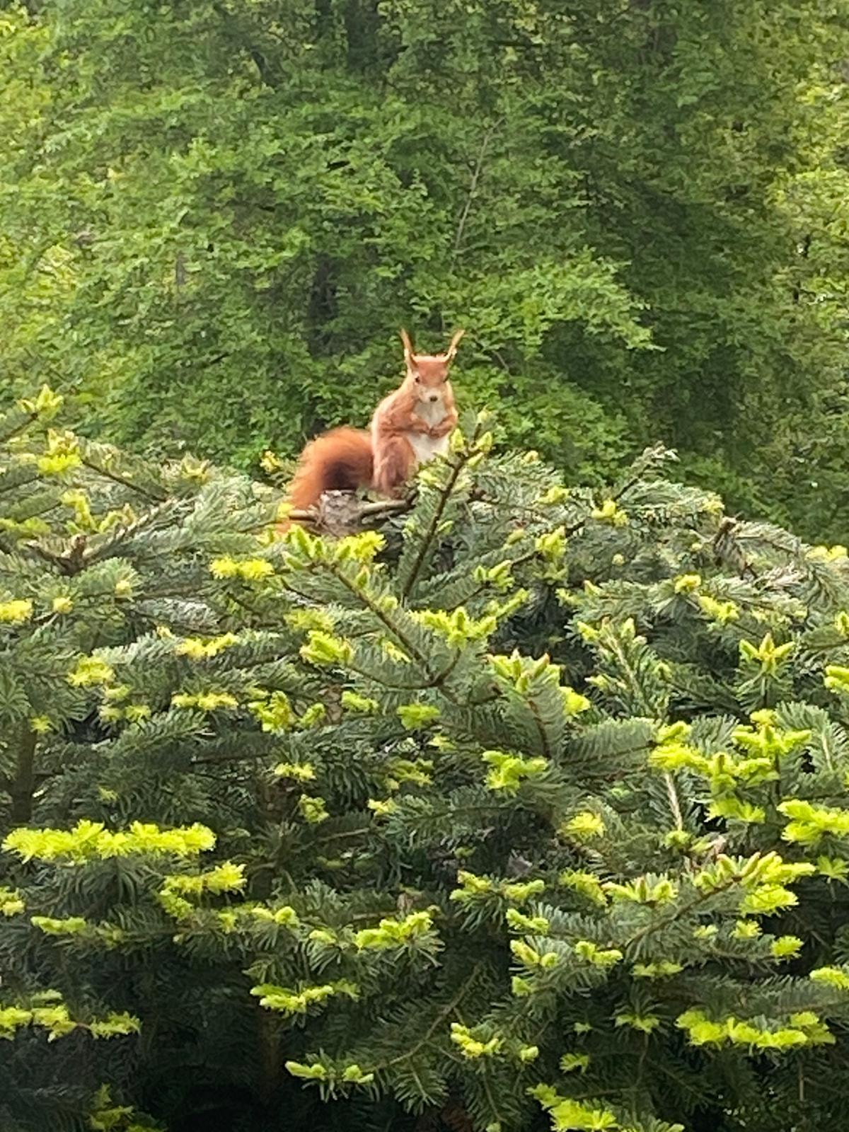 191282426_2917937535121043_4216786234314387774_n (1)