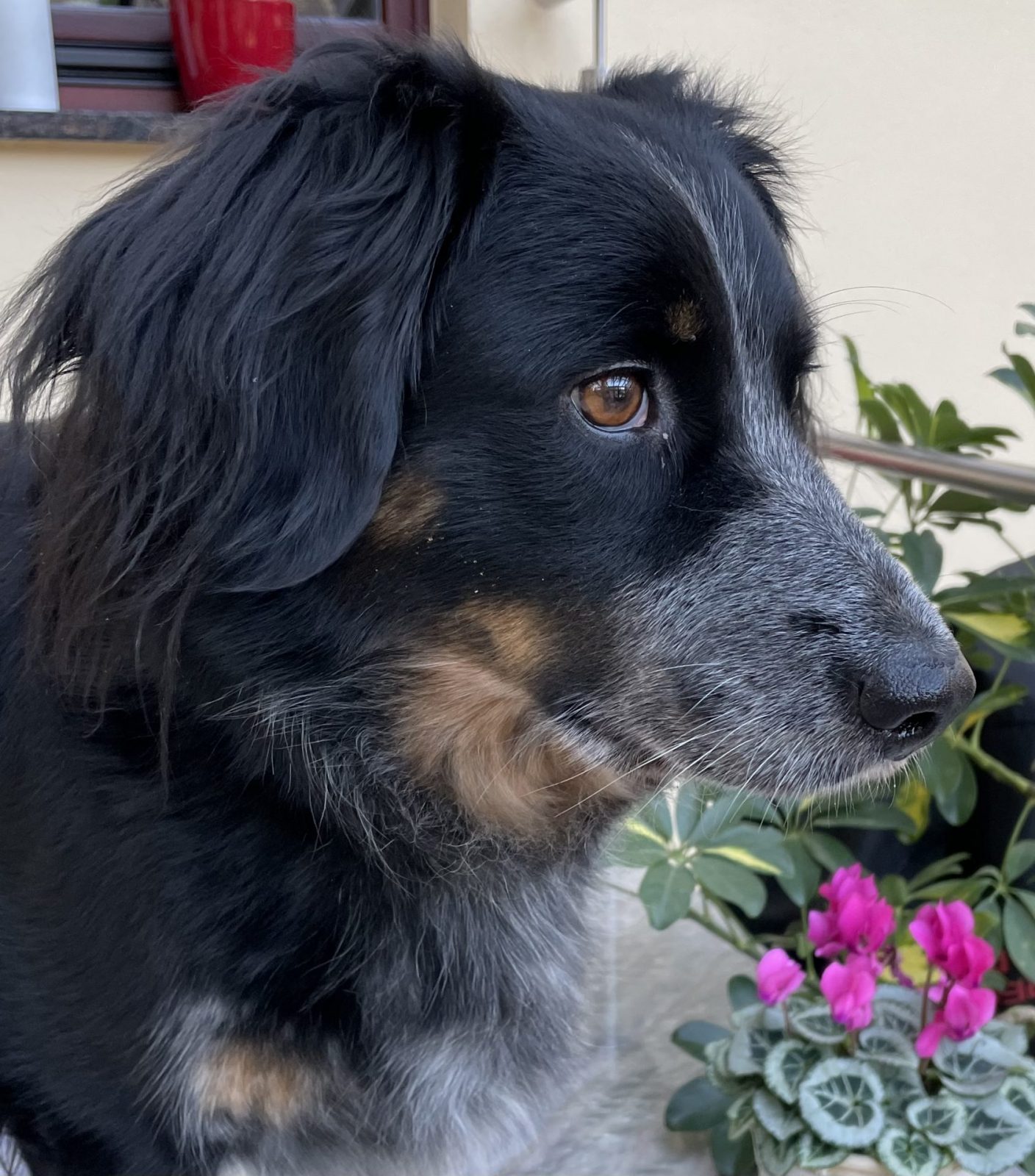 191D4B03-4564-45FB-811B-D398A895E7A9