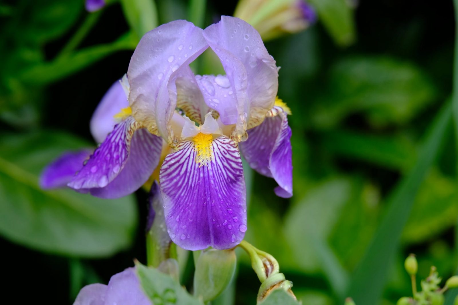 192612886_925499374962927_6361542644662047416_n