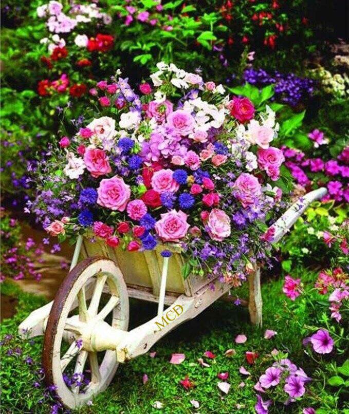 192622270_2924054024499062_2610362399622077037_n