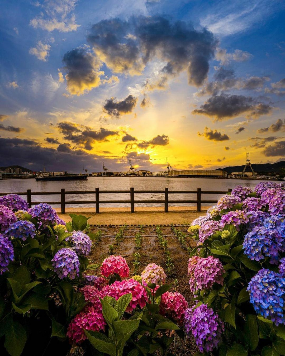 192862732_5550128791695495_1051958526361478587_n