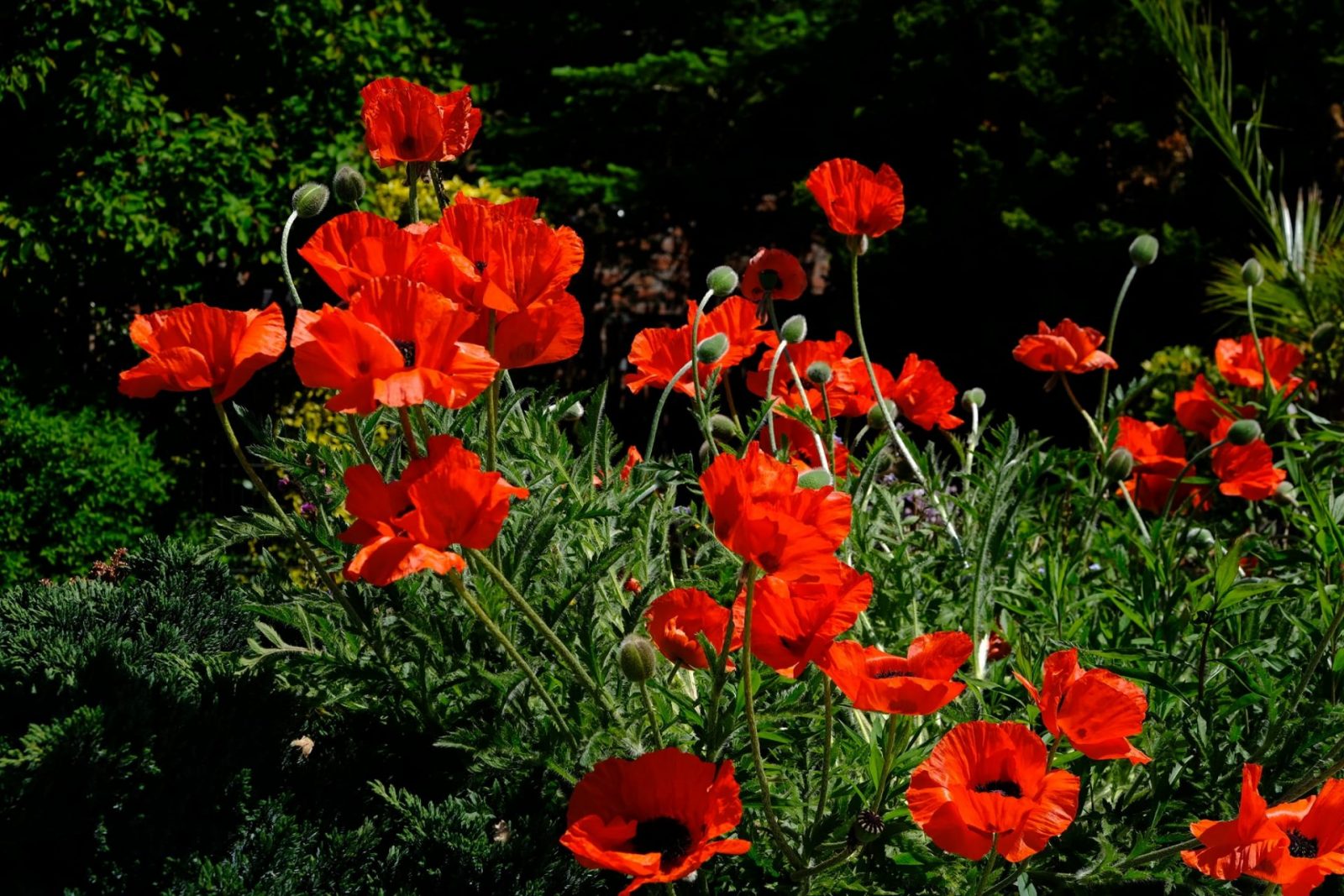 193694354_927171844795680_1090435954197326706_n