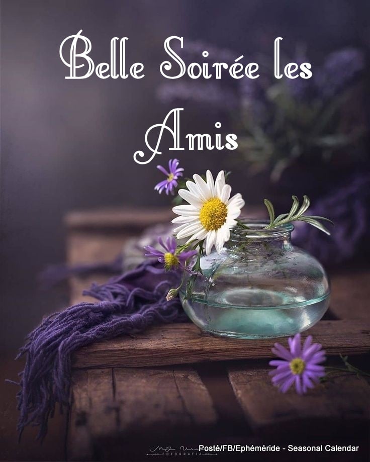 193876119_4287441611305902_3627104810433124604_n