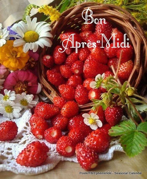 193922219_4286730478043682_7941549856287393901_n