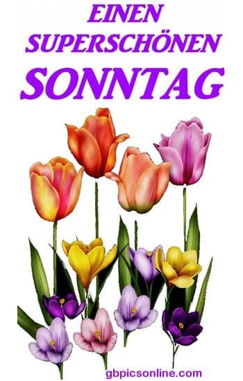 194392930_966588237447984_1669468110716509632_n (1)