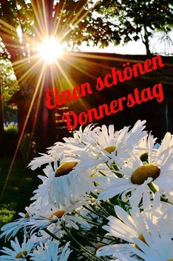 194577970_887853478463984_2575660712555925265_n (2)