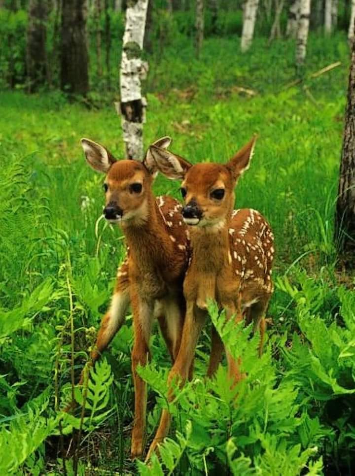 194781343_1239629016491402_3450147211739423857_n