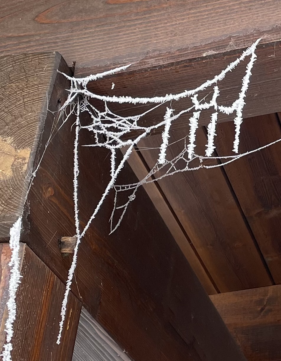 194AFF0B-BBD0-47D0-8E8A-2F5A0AAAE6C9