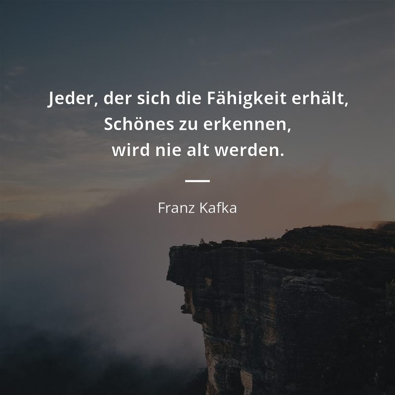 1956981-franz-kafka-bilder-mit-zitate-jeder-der-sich-die-fahigkeit-erhalt-s_yhjfTRf