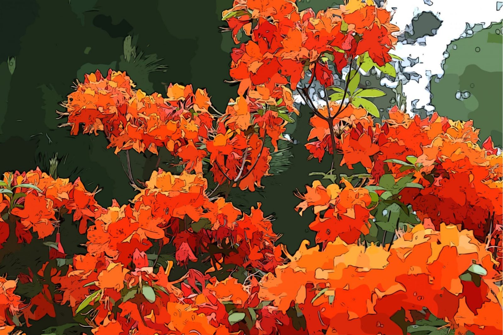 195759539_4342675445763947_7234023068436058400_n