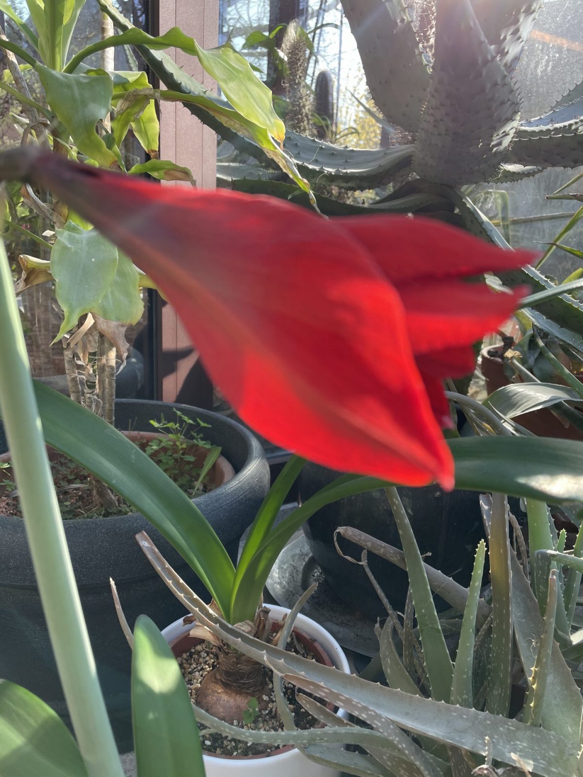 195EA149-5B89-4665-810C-29E14171D5A0