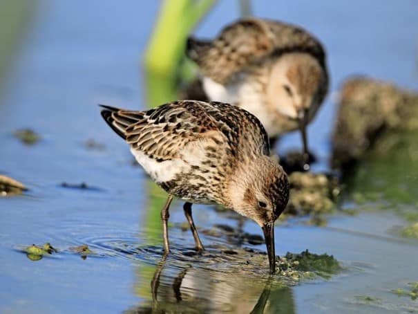 196033440_3872395842871953_1608765164284618093_n