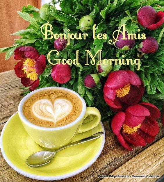 196315140_4290944717622258_2562096119586513291_n