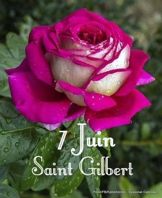 196486029_301551411691175_1743984413397637856_n (1)