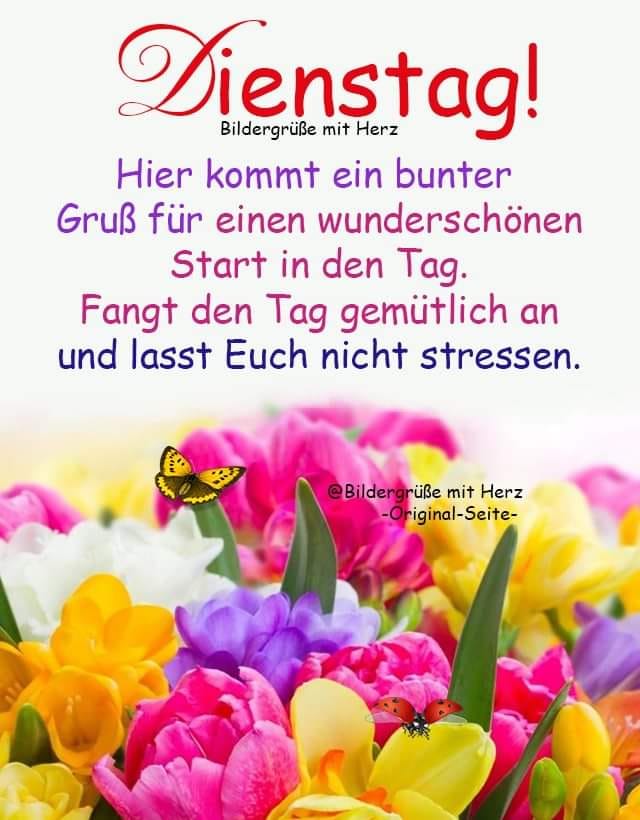 196852944_2217374875066171_3450370828692181560_n (2)