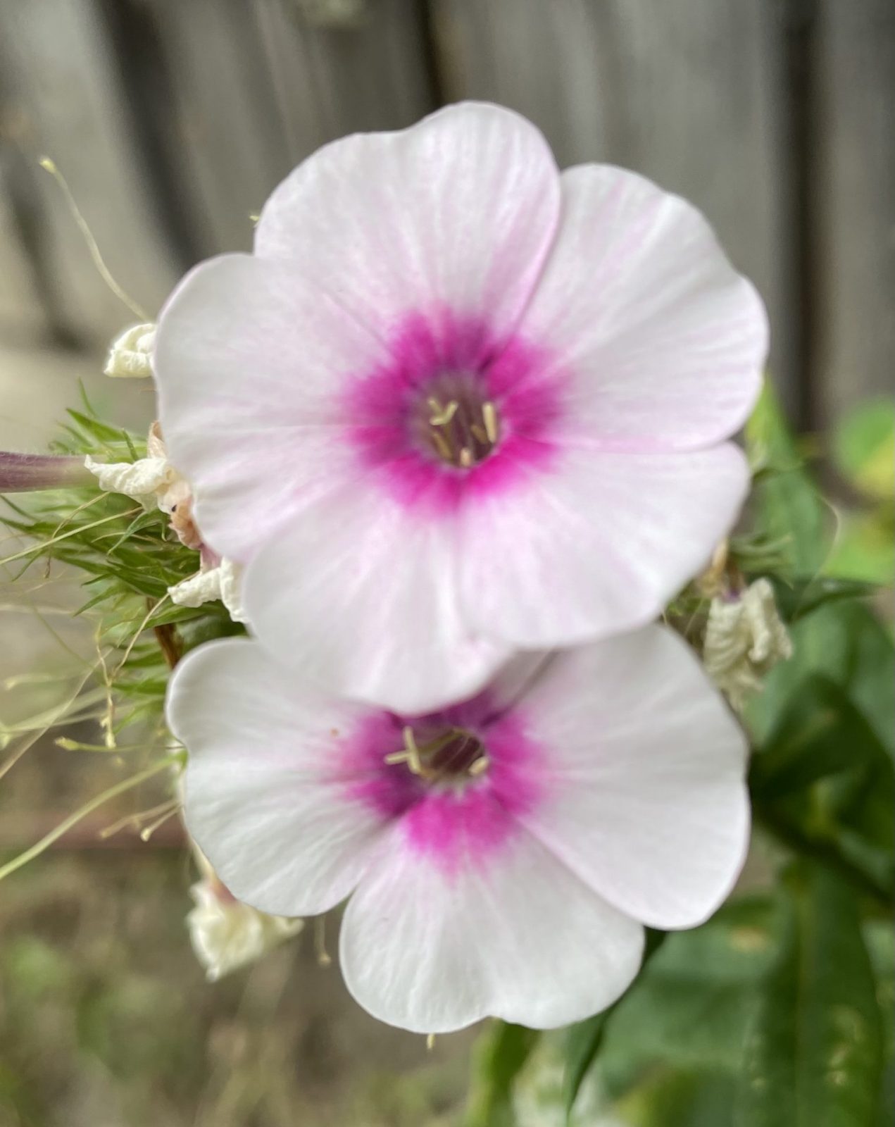 196DCEC0-3540-472C-8277-9B1001416B8A