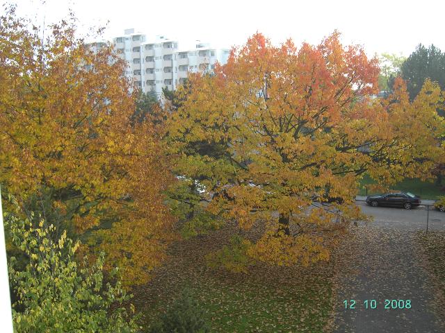 196f84deeff018beffff809bac144227