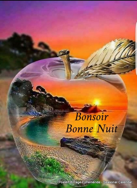 197422892_4310551325661597_4405511156814471938_n