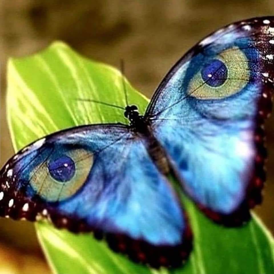 197830219_4402554349775136_8992393626186372461_n