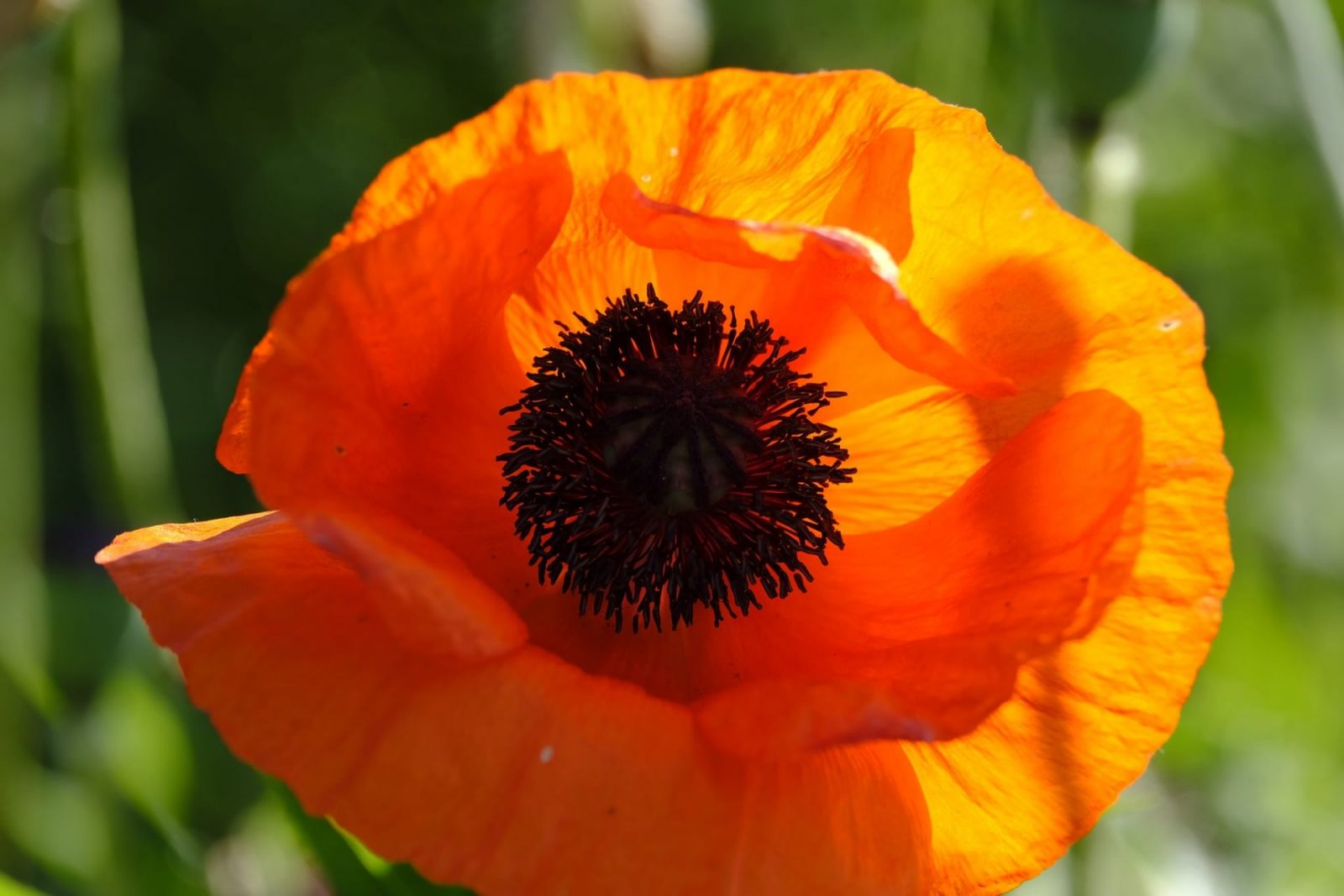 198655312_934272927418905_431227735803507745_n