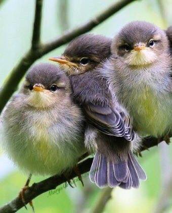 198783887_2971534646417666_8337680572776264151_n