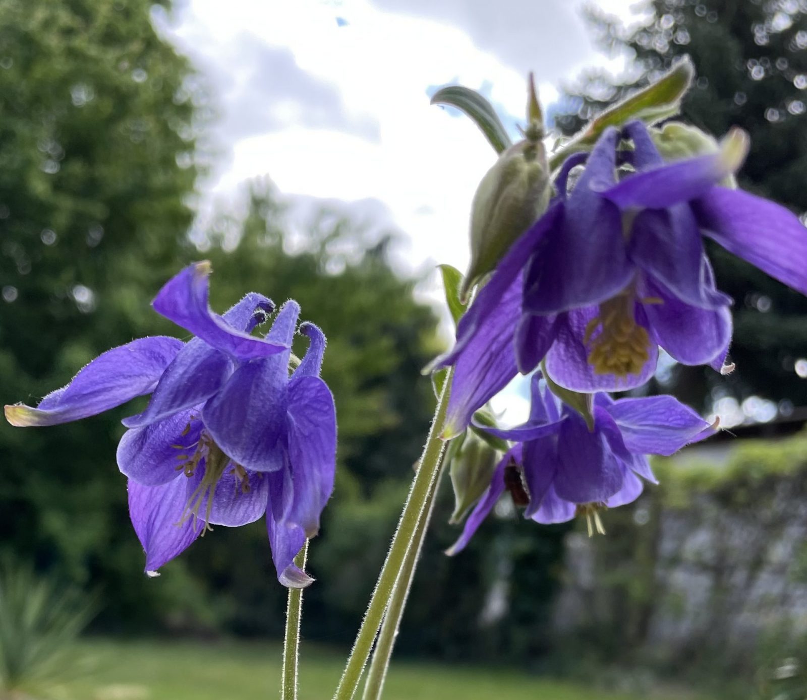 198F4415-E735-4B5E-8636-D119B7994B70