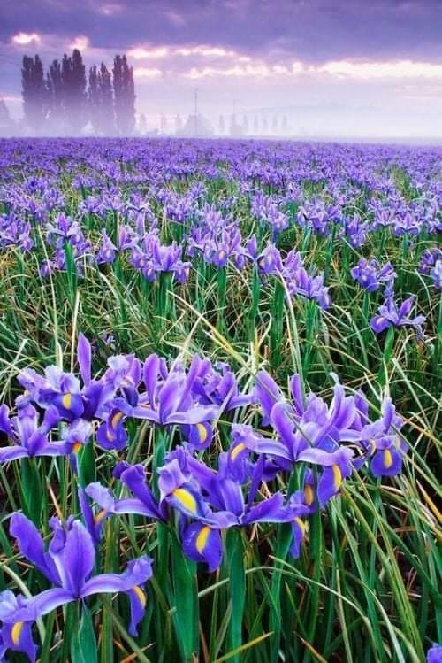 199463350_1246196675834636_3717116783060174151_n