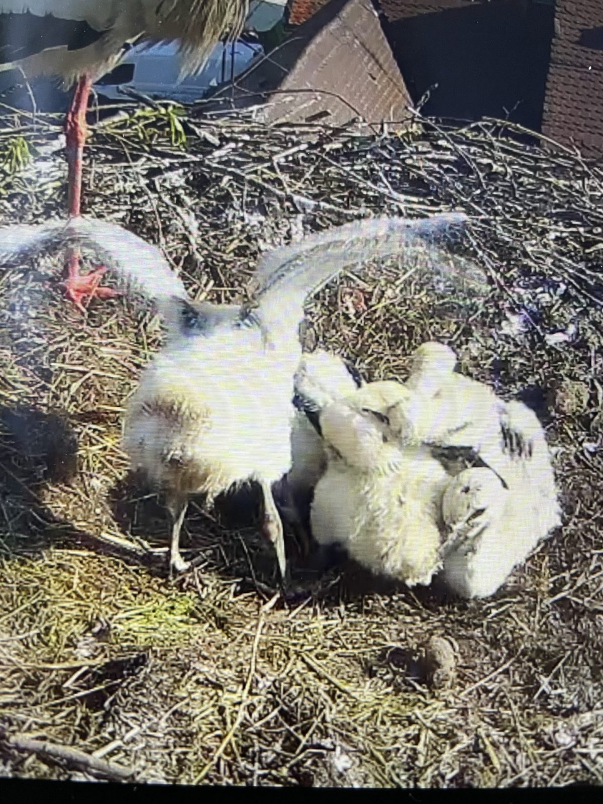 1A0C2891-D868-4B15-B276-47D0CDBF6BC8