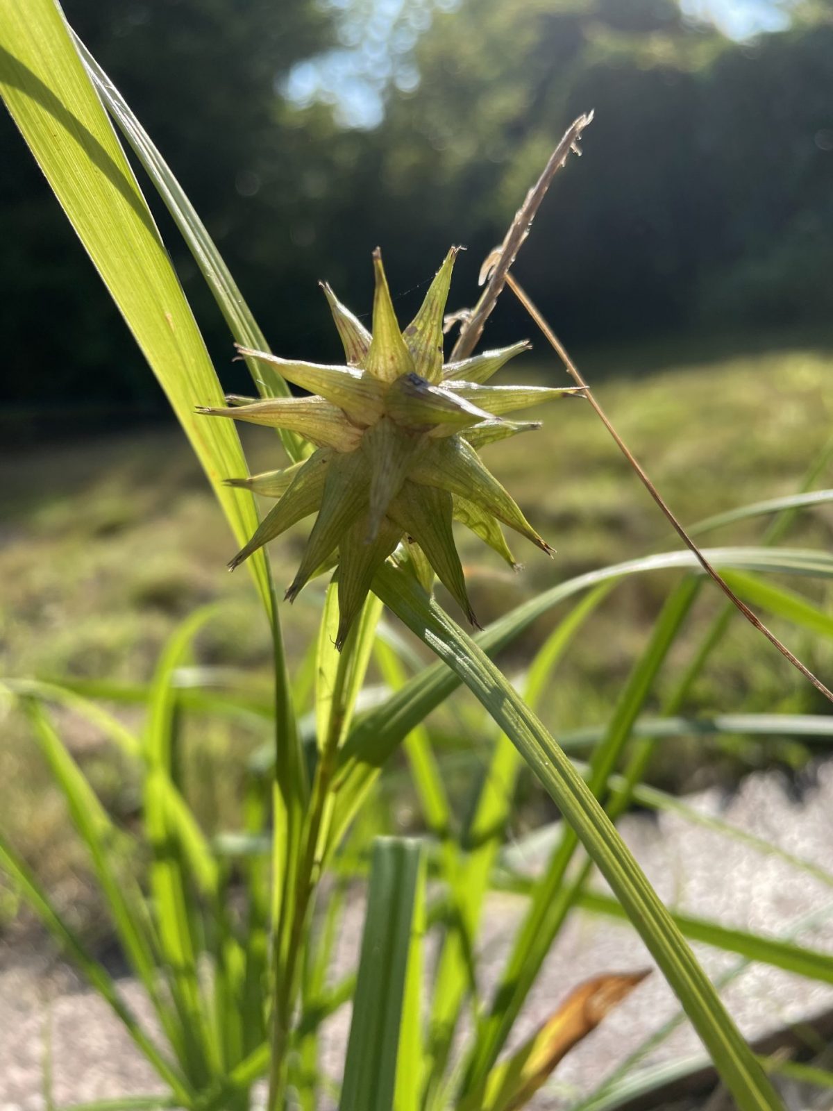 1A55B891-2AFA-4F7D-B9C7-031A2509392C