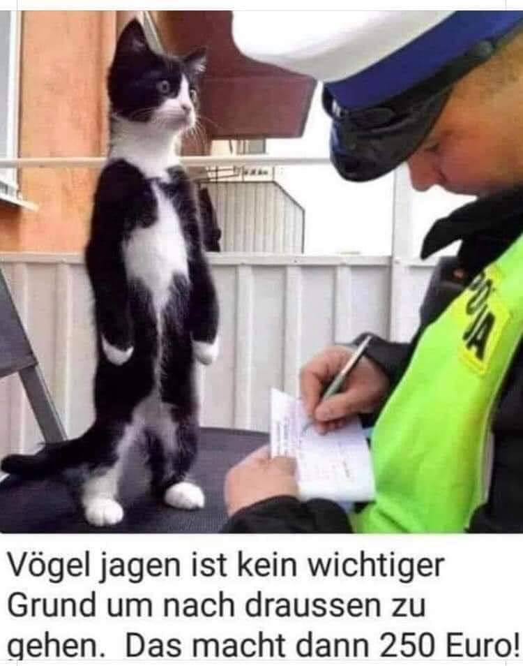 1A6121E5-6E60-42B0-A77C-7C7E3A5D5E2C