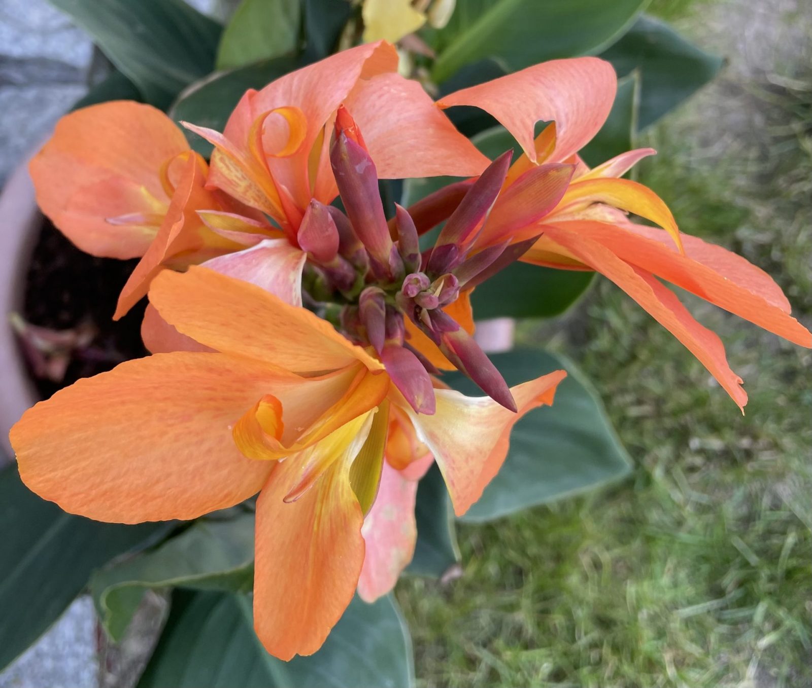 1A788F45-EB35-4D60-B9C6-EA1391B48E81