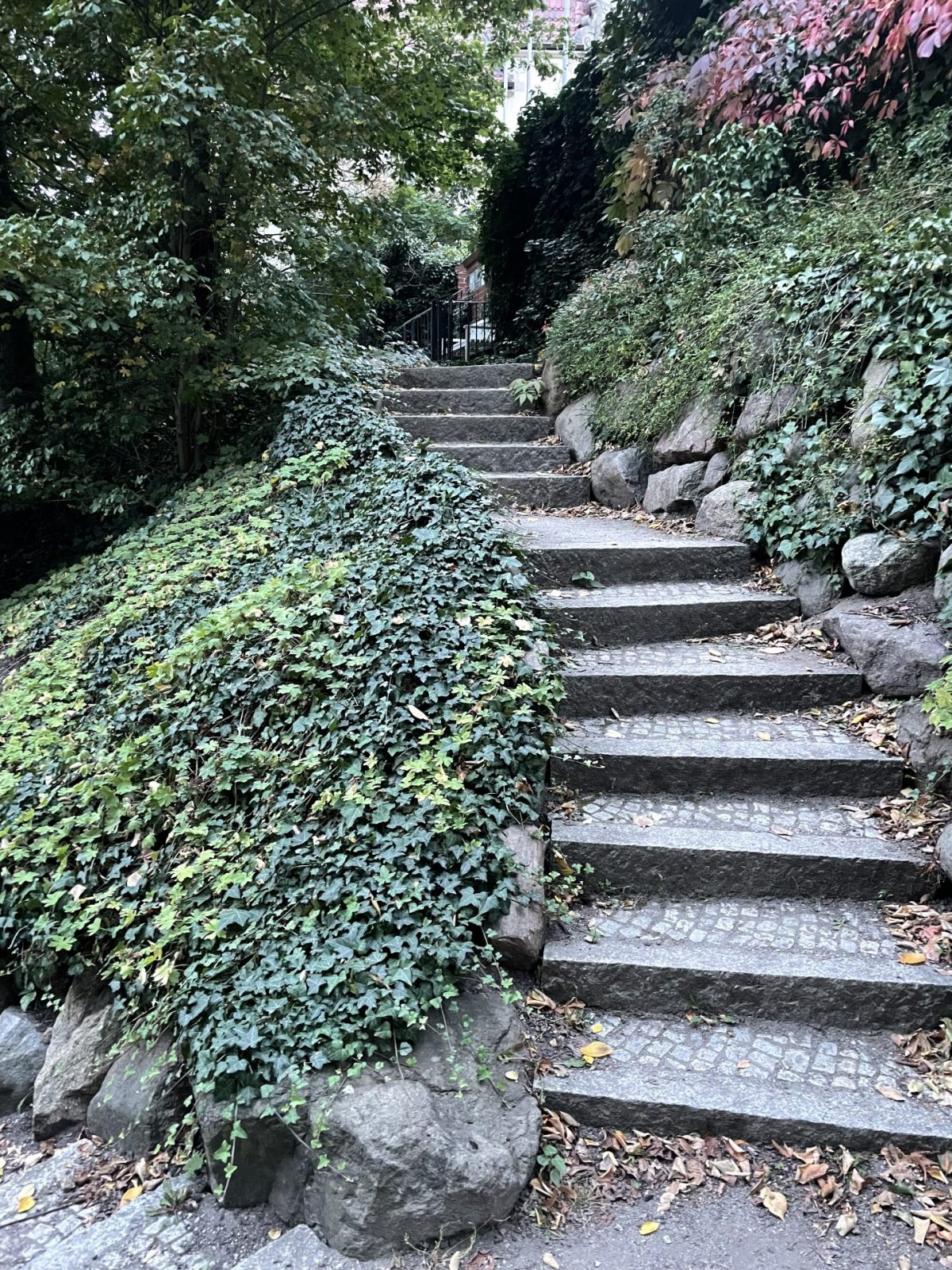 1A8A4BF8-E6C5-4B18-9425-82E88309A809