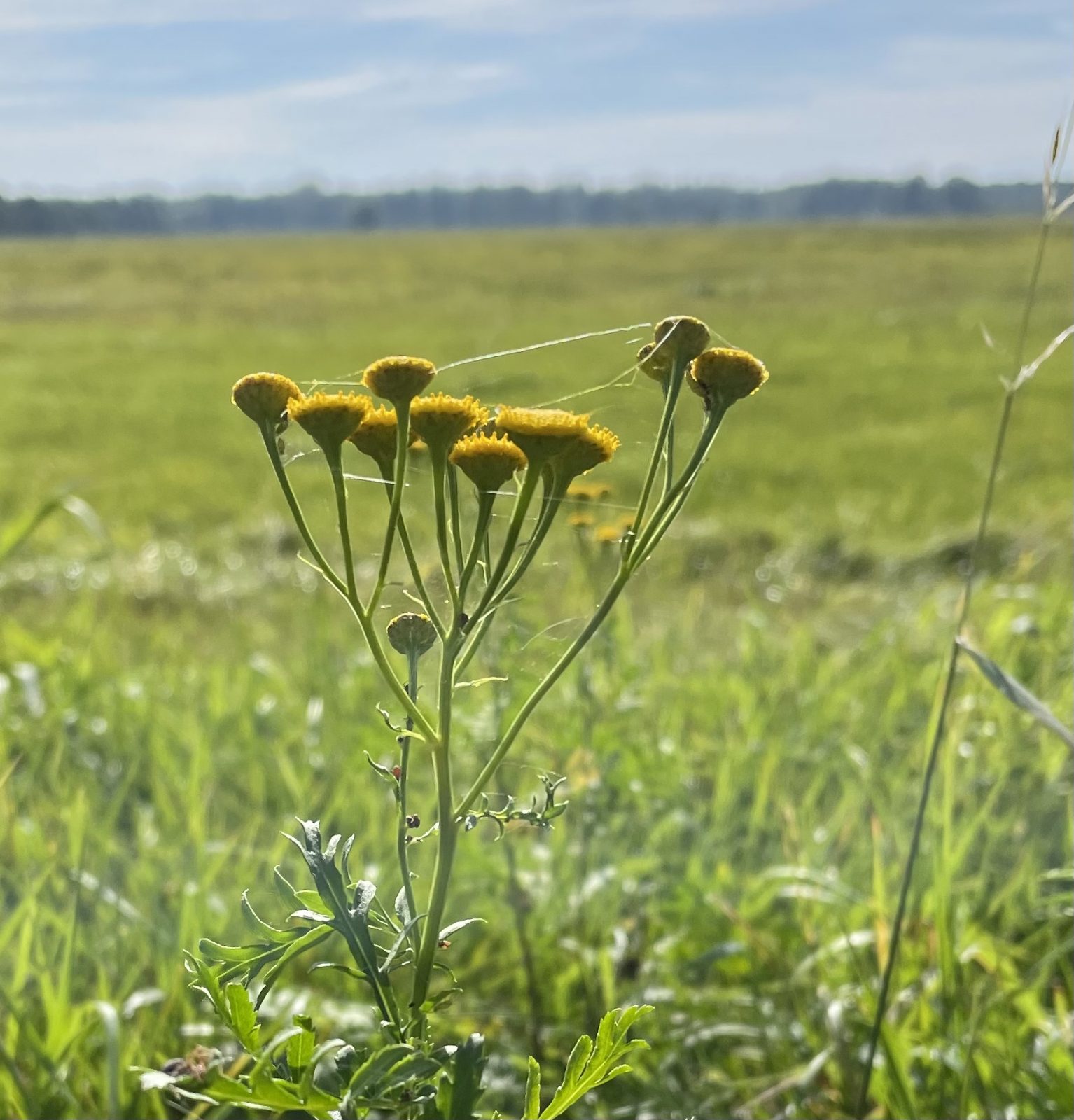 1B011A9A-A57E-4499-A689-2C4D18DF2500