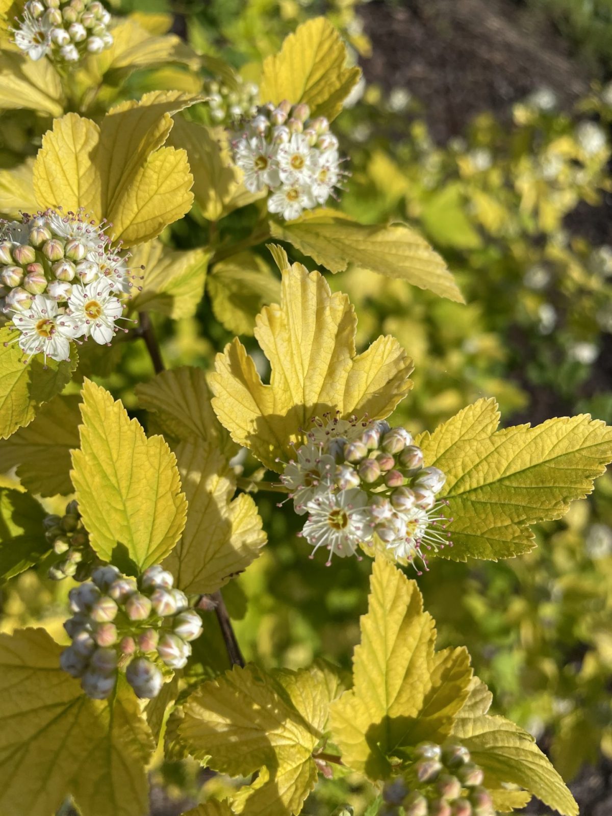 1B0EB240-565C-464C-B275-5F5D1E5AB3D7