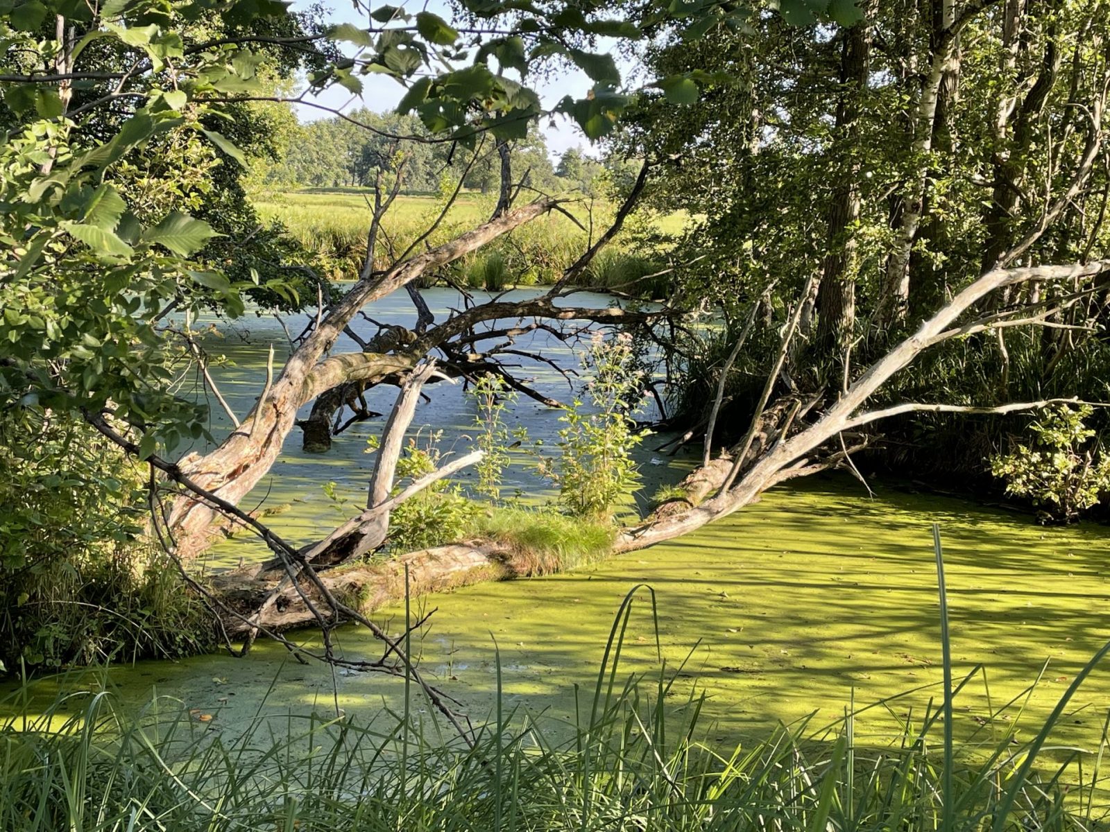 1BDD4043-6B29-457F-A39C-B88ADBD0B81D