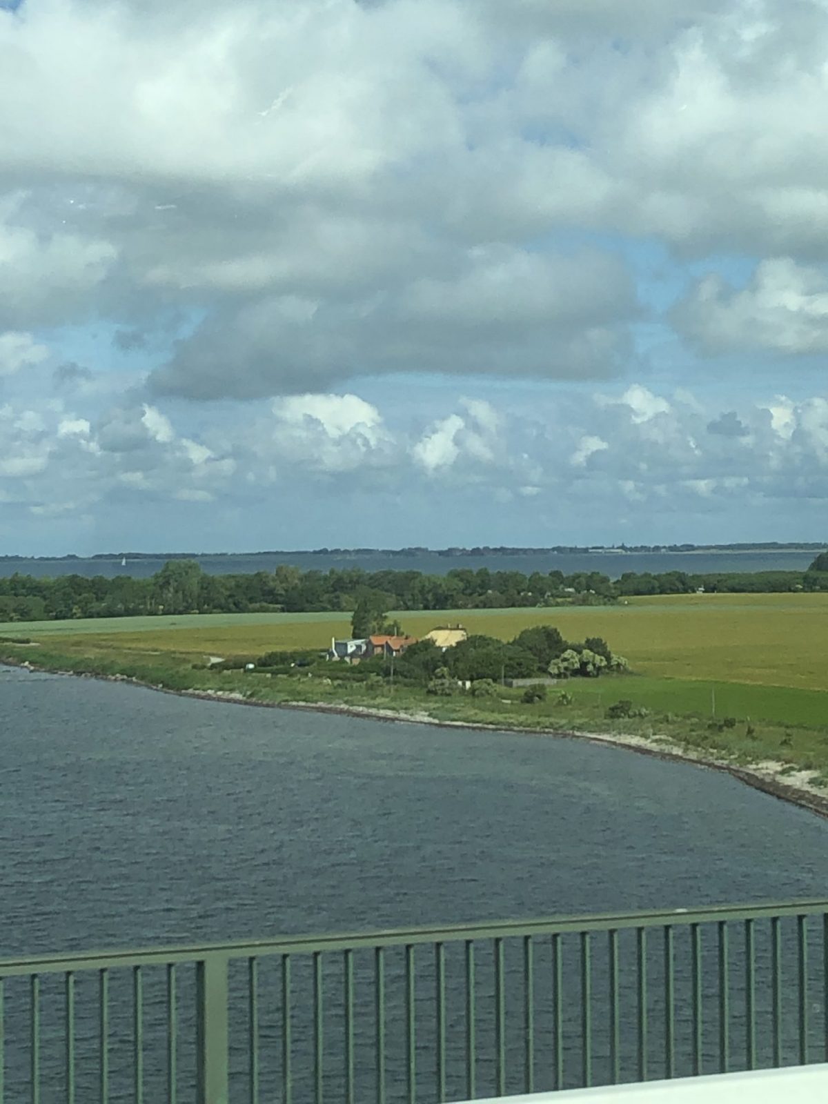 1BE6B7C8-A29A-4390-803E-F42A565C5032