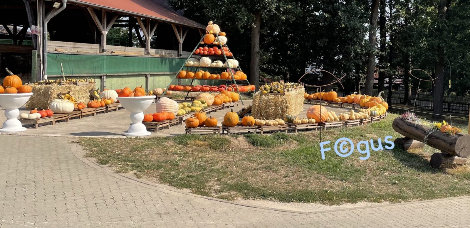 1BE85942-6E0E-40E0-8DEA-1D3617DF3C77