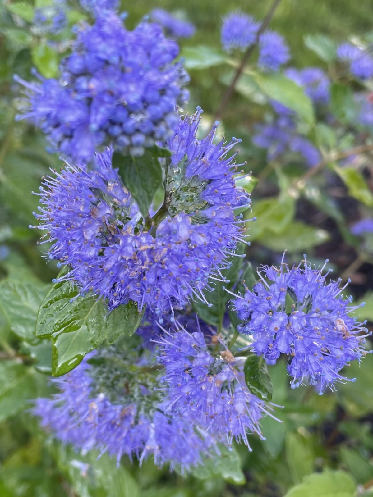 1C56078B-62C6-48F8-8774-E1325C752FAD