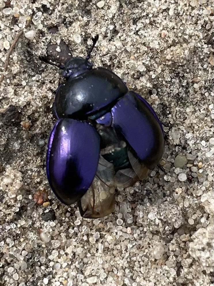 1D20B50B-6C45-4758-825B-E77F8DB954BB